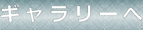 ギャラリーへ