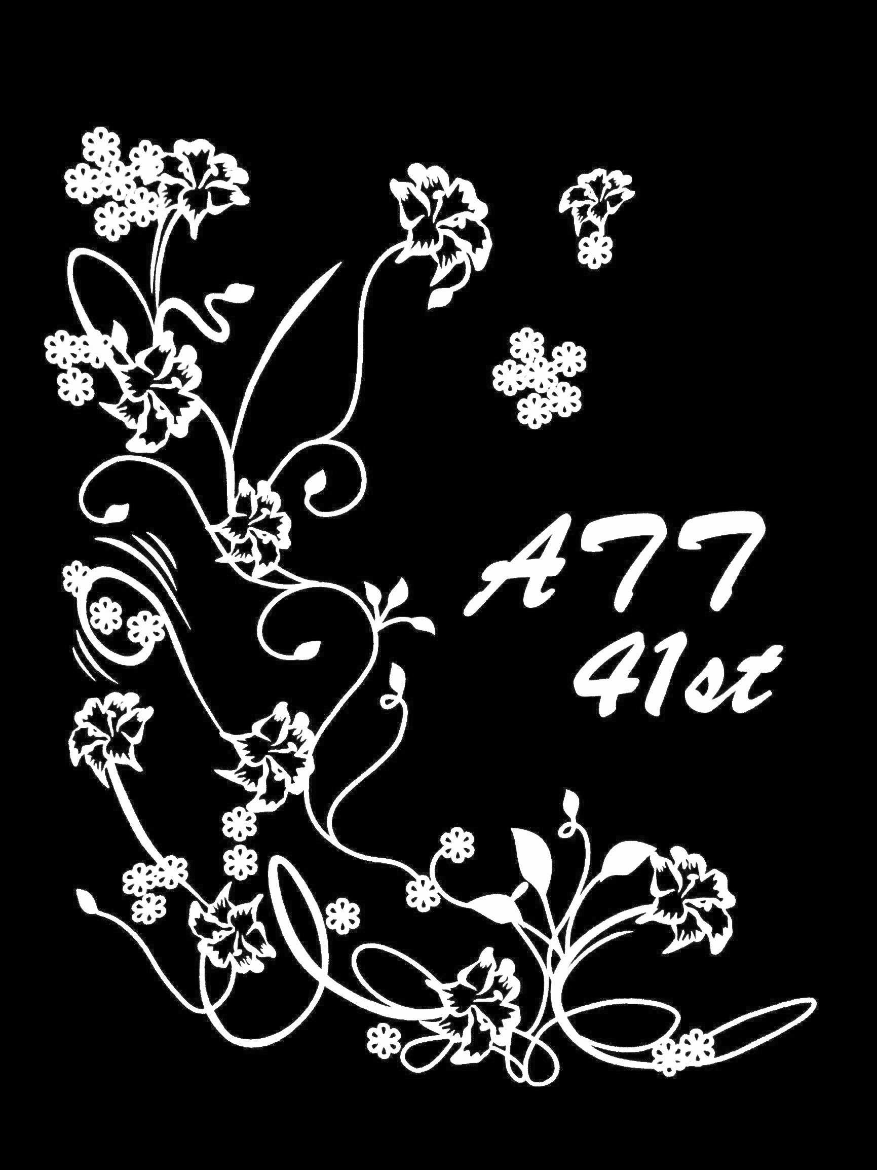 41